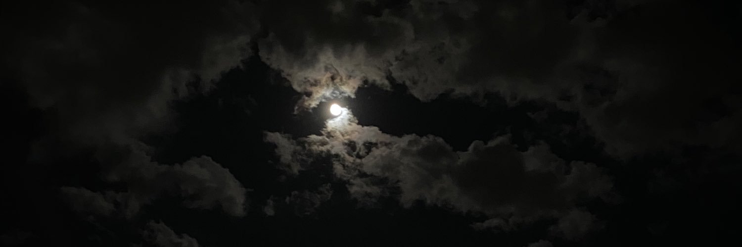 SINNERISTA DA SEMPRE banner
