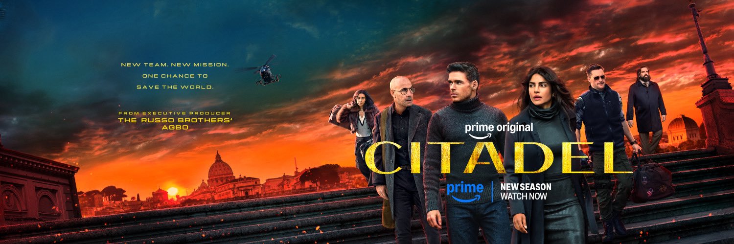 Citadel banner