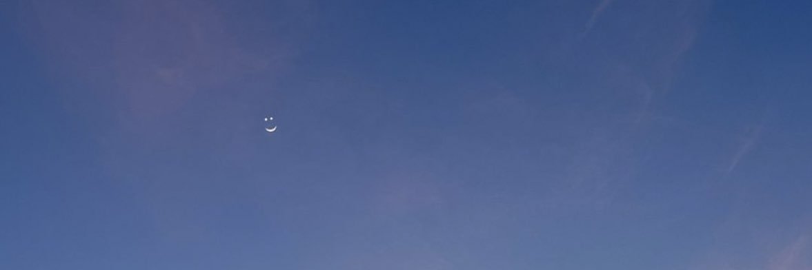 BarbielTarot's profile banner image