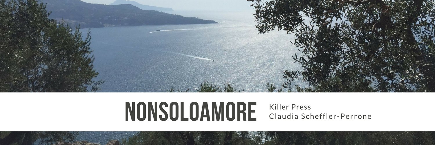 nonsoloamore's profile banner image