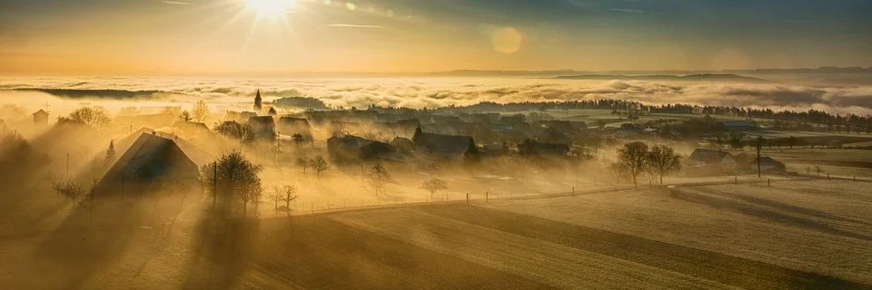 SCALED ERC Project banner