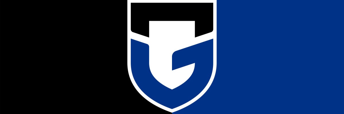 VFL Gamba Osaka banner