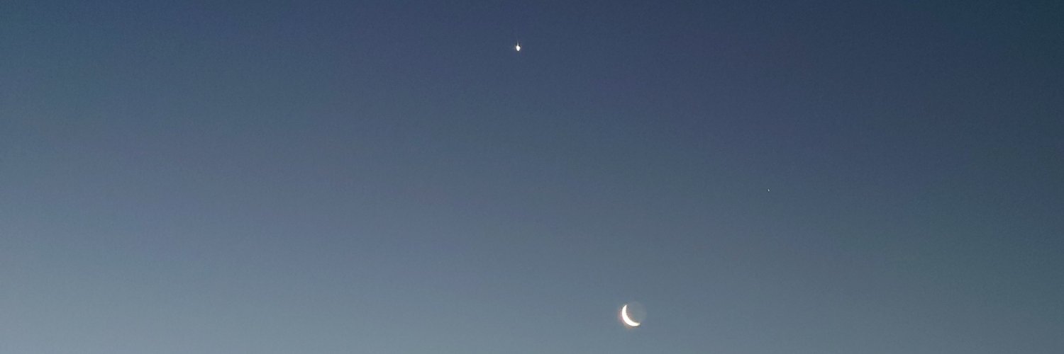 nosuri_cedar's profile banner image