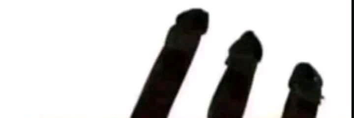 CurrywurstDD's profile banner image