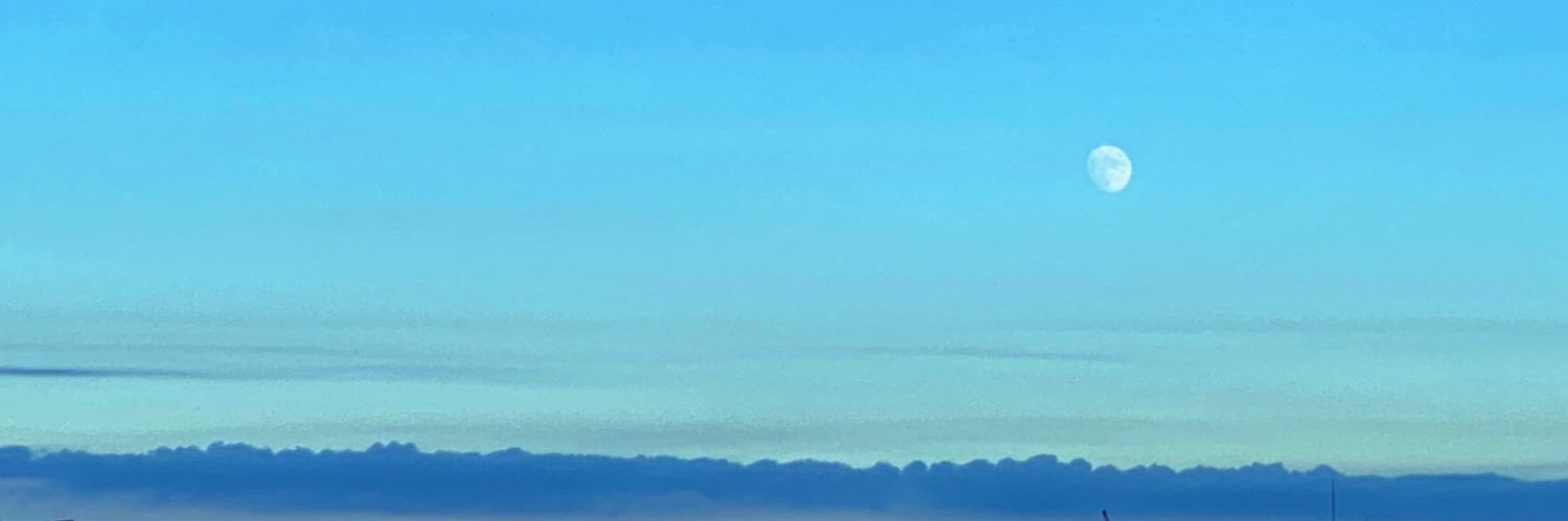 syohousen's profile banner image