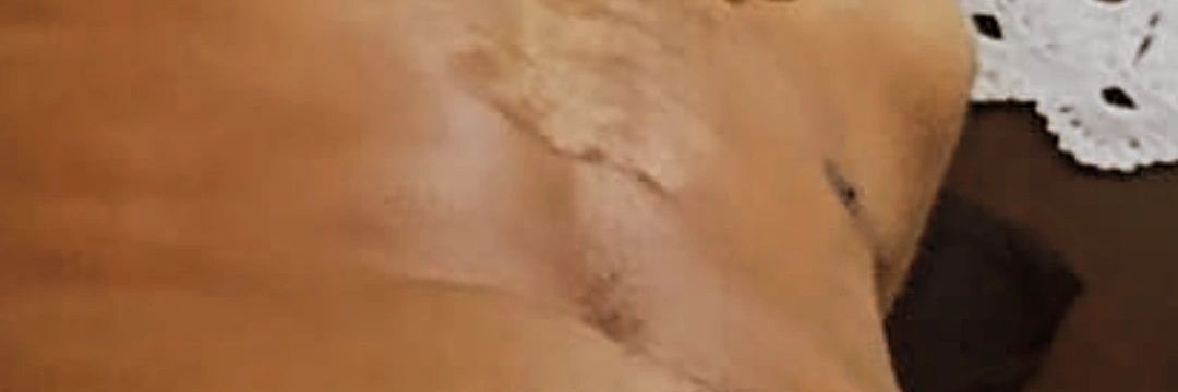 PutoBare😈🍁🍆🍑💦 banner