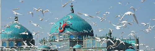 YNajafizada's profile banner image
