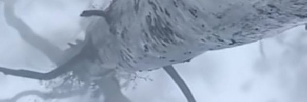 user_tylin's profile banner image