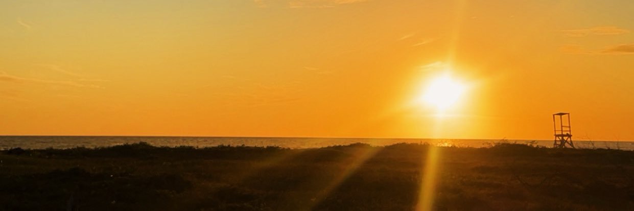 adrianar02's profile banner image