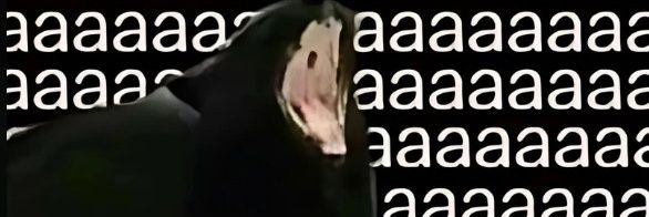 Defilogy 🌊 banner