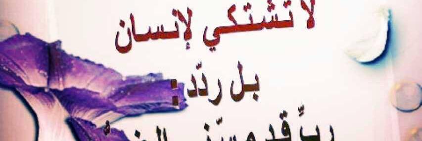 bahnasy_a's profile banner image