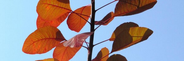 WilkinsonRae Profile Banner