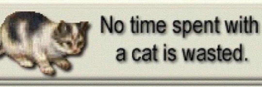 limehotcheeto's profile banner image