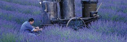 Bobo28186205's profile banner image