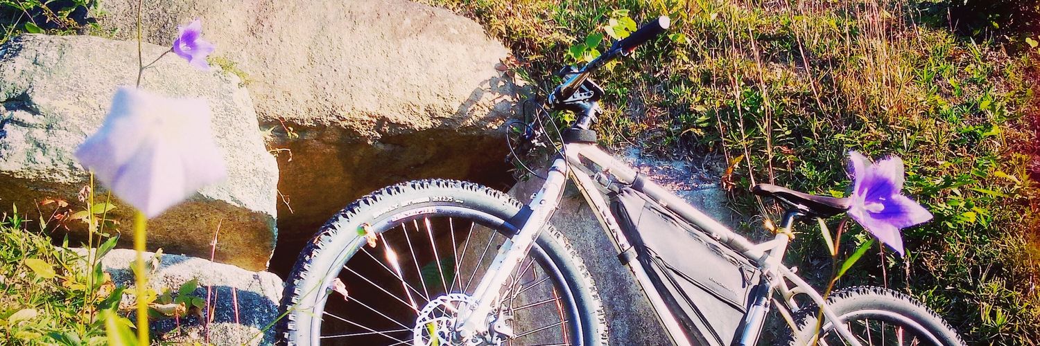 SURLY(ｻﾘｰ) banner