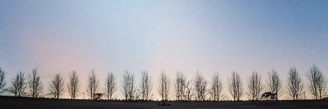 Michael Watts banner