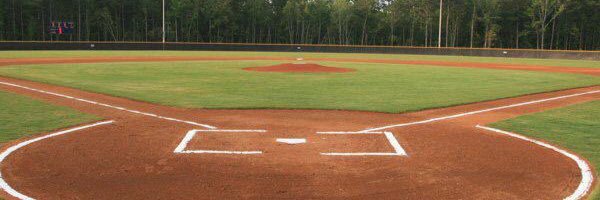 DCHS Tiger Baseball banner