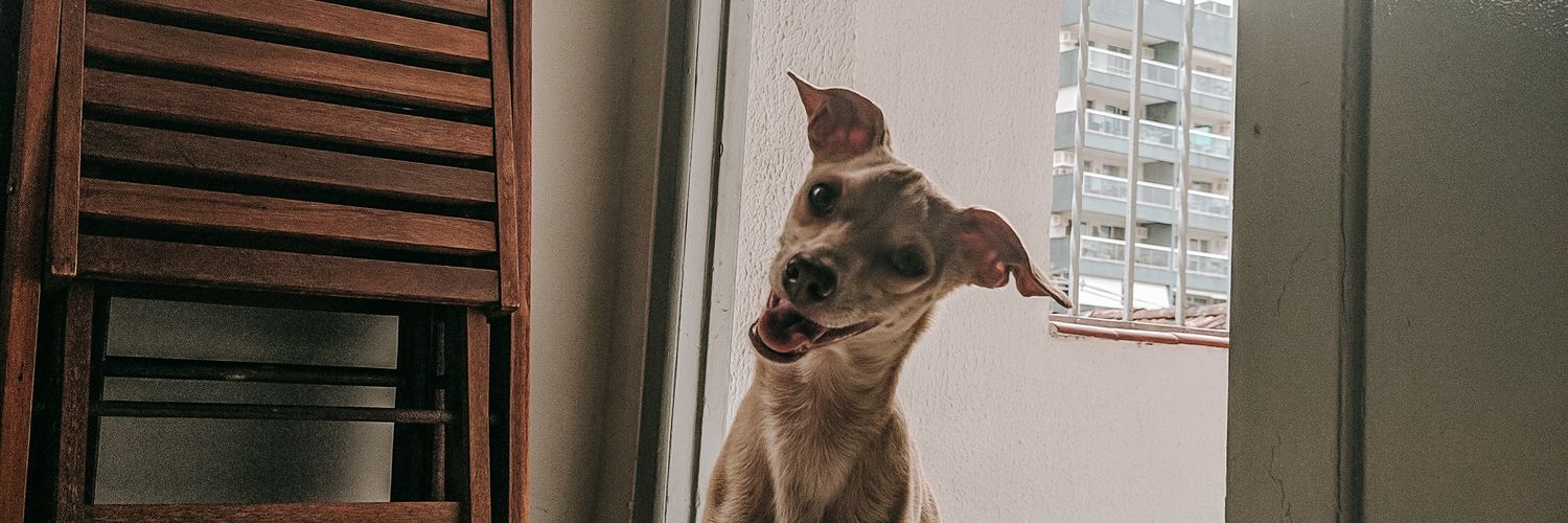 lukneipp's profile banner image