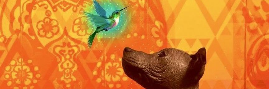 Rocio Messer banner