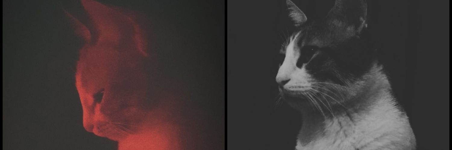 alangoyaaa's profile banner image
