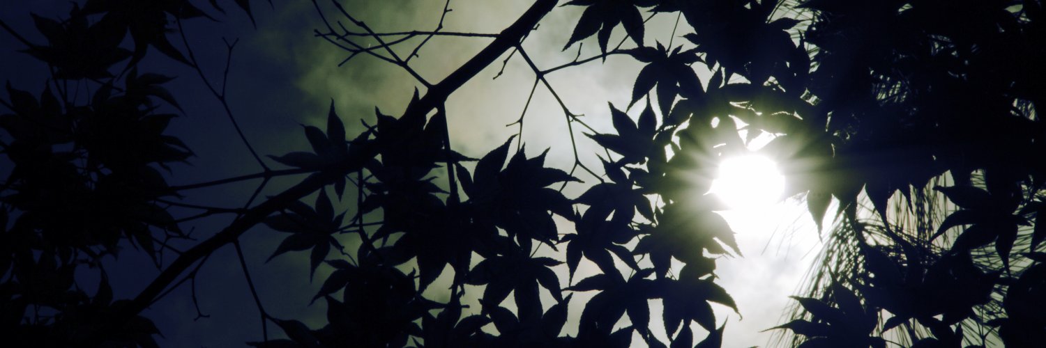 Flower432hz's profile banner image