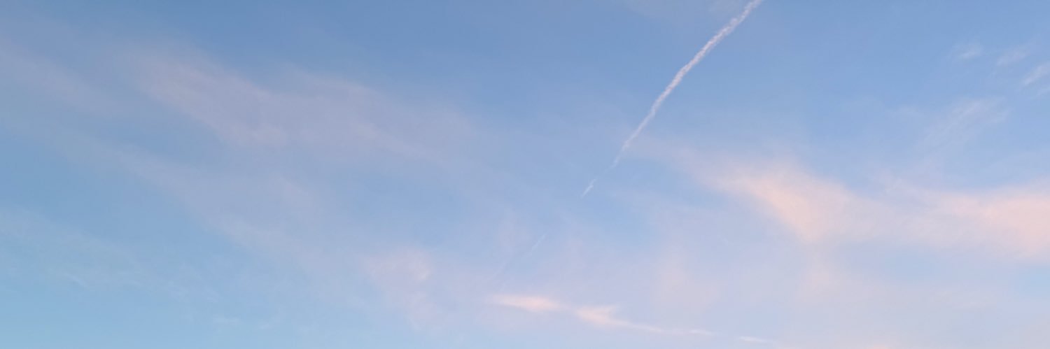 twinkkpilled's profile banner image