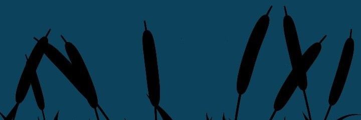 𝘑𝘰𝘱𝘪𝘪_ banner