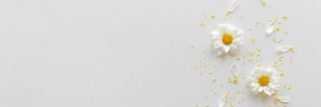 Ami_Rae_'s profile banner image