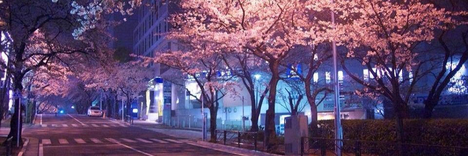 Rickymiku's profile banner image