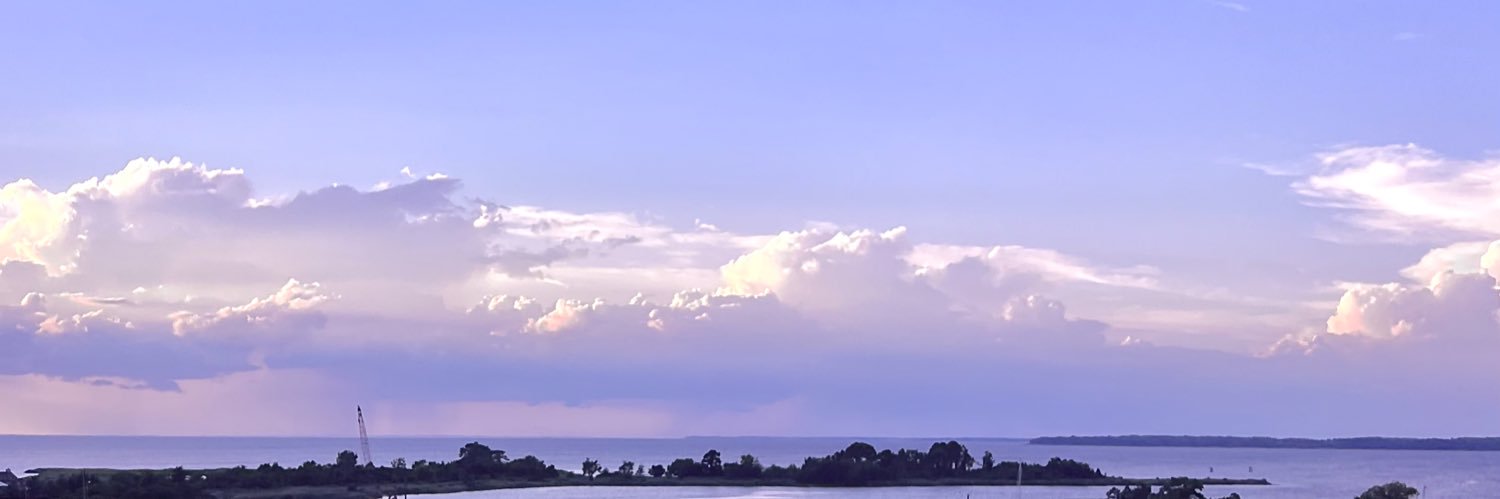 honney_1006's profile banner image