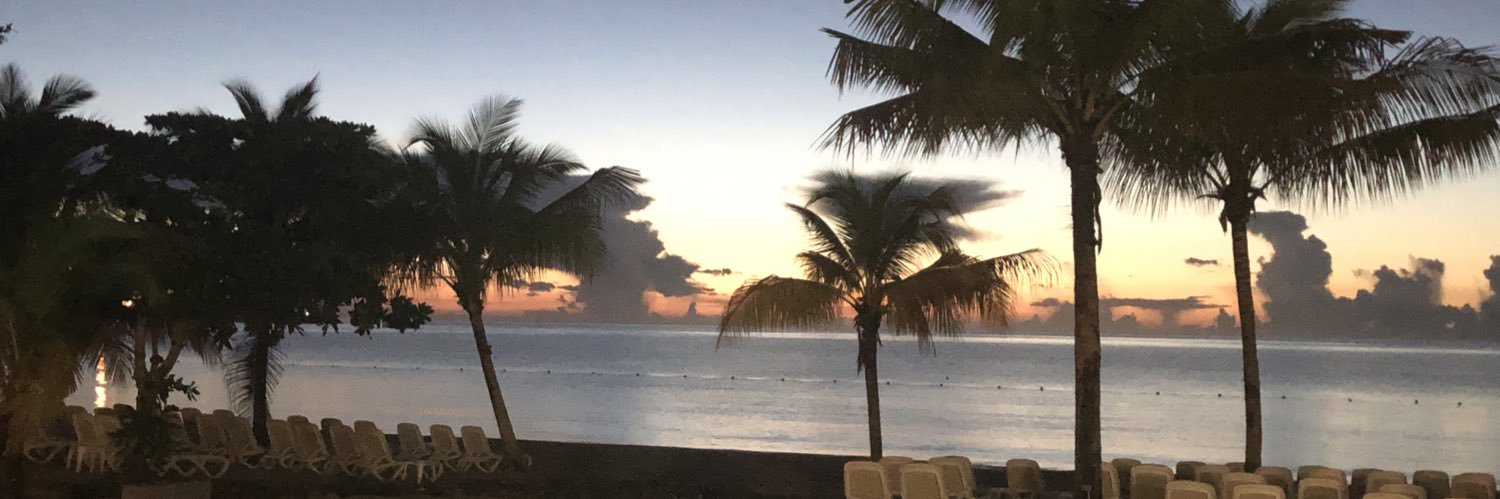 Brenda Shipwright banner