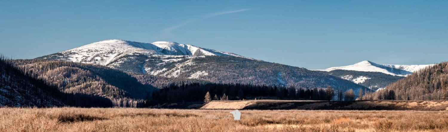 Erdenekhuyag Purevdagva banner