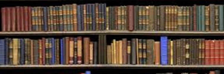 msksm1385's profile banner image