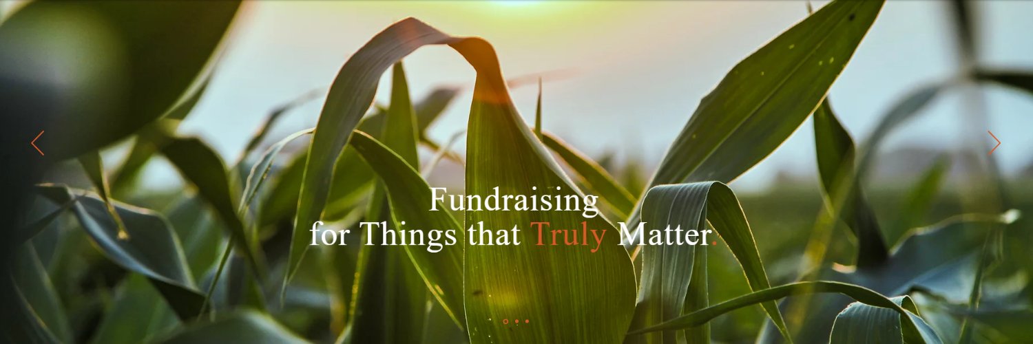 carolinebergaud's profile banner image