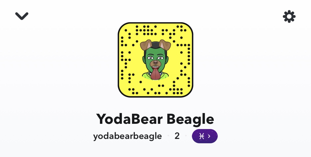 YodaBearBeagle's profile banner image