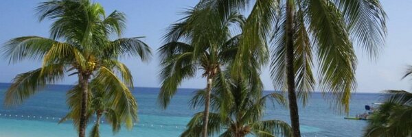 AuntBecky16 Profile Banner