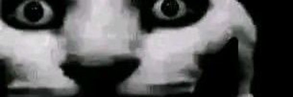 monkaLaugh0 Profile Banner