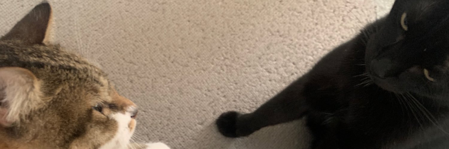 hamsand_st's profile banner image