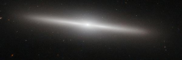 BarbaraFrontera Profile Banner