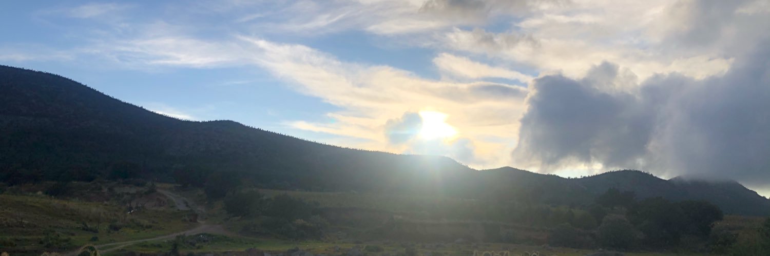 SuzanParra's profile banner image