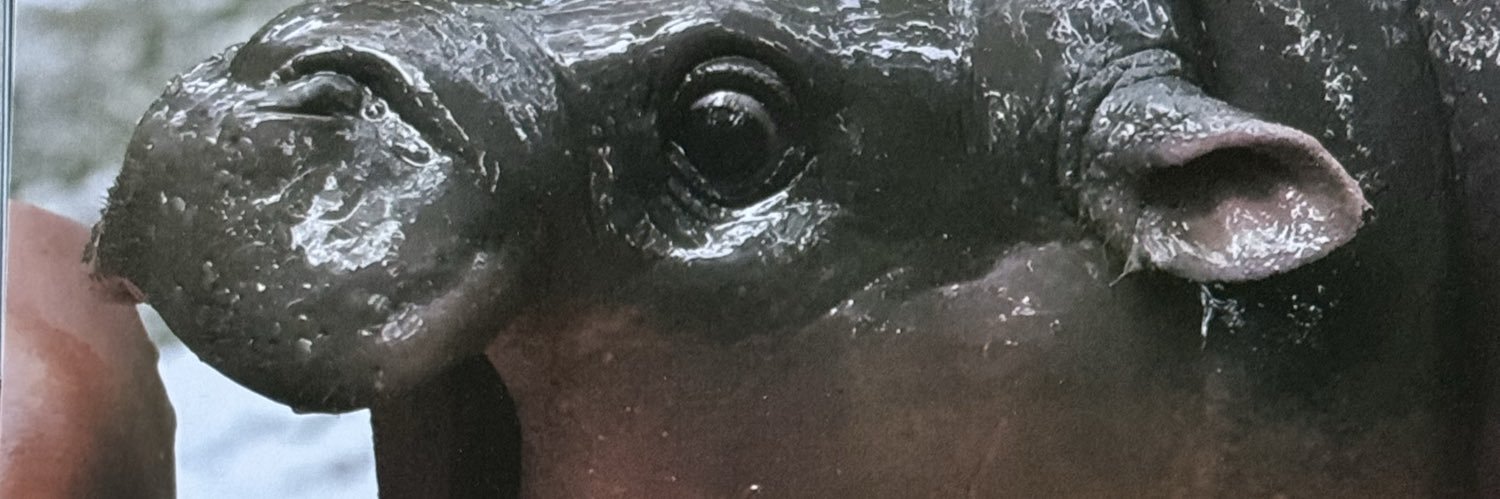 IanDort's profile banner image