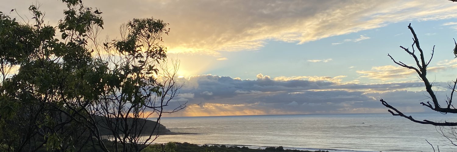 gracemaynard_'s profile banner image