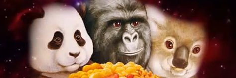 duycaoxyz's profile banner image