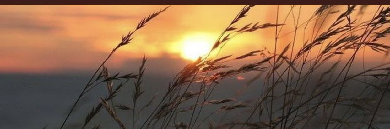 zelisYesildag's profile banner image