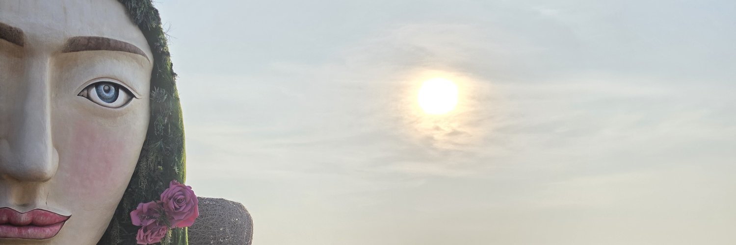 Bronzswing's profile banner image