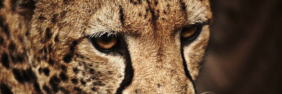 _MsAmaka's profile banner image