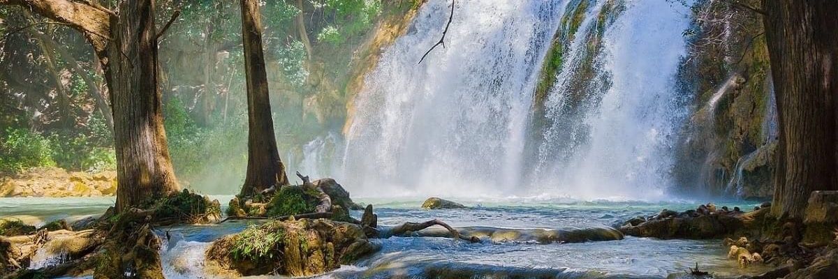 Carlos Salazar E banner