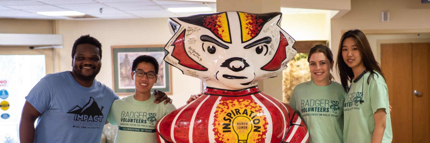 BadgerVol's profile banner image