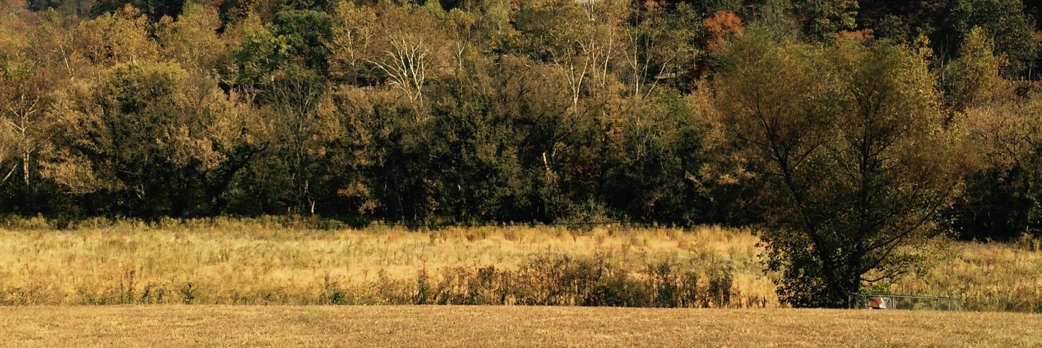 TownselTurner's profile banner image