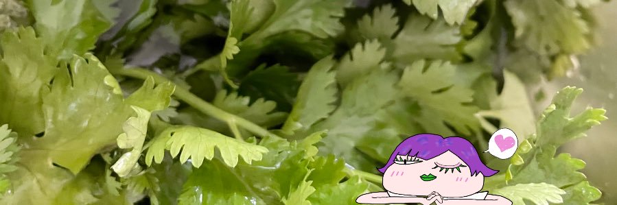 cilantroholic's profile banner image